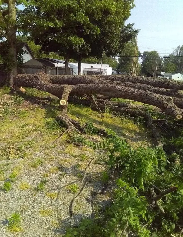 Top-rated lawn care service experts serving Raymond, OH - JOLI Lawn and Tree