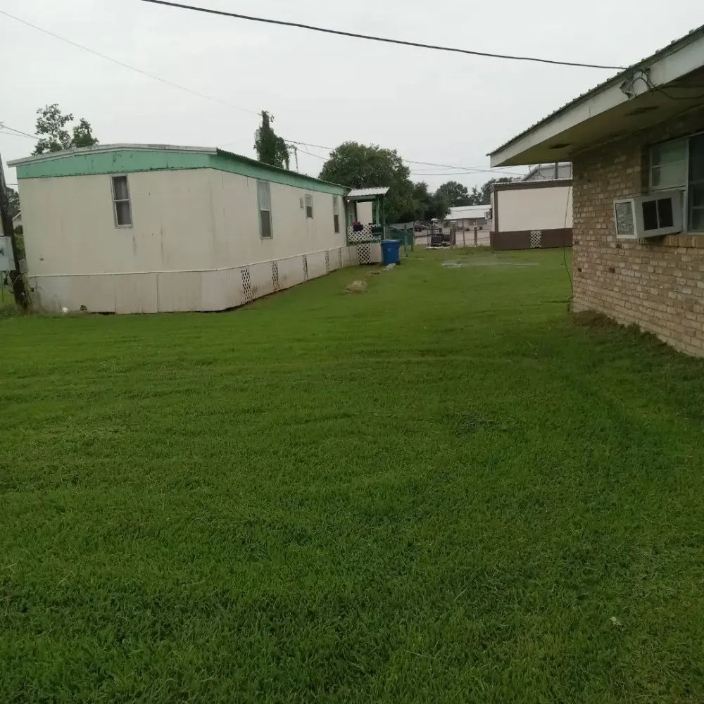 Affordable yard cleanup service in Saint Martinville, LA by Jolly Green Cuts