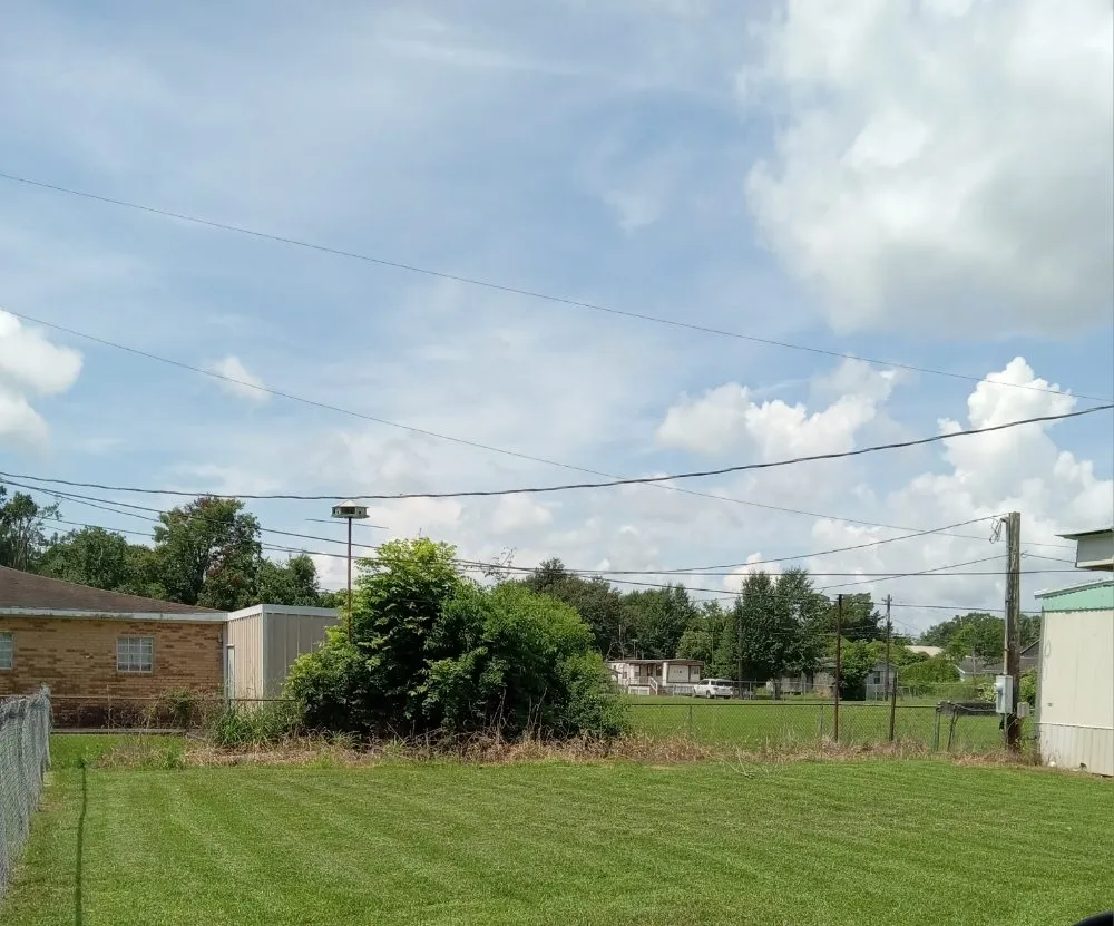 Top-rated landscape design near you across Saint Martinville, LA - Jolly Green Cuts