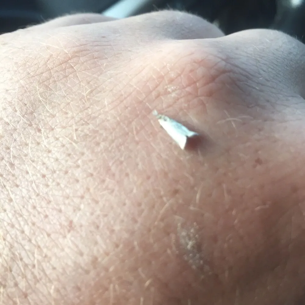 Local outdoor landscaping for beautiful yards in West Babylon, NY by Jolly Green Tree and Shrub Care