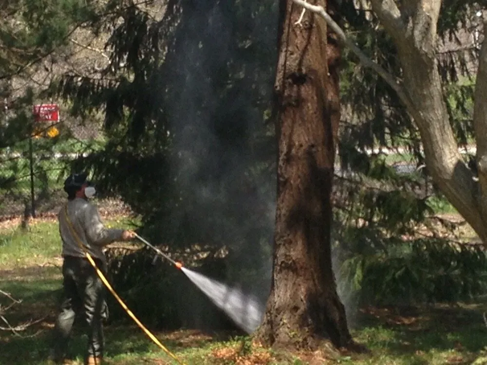 Professional outdoor landscaping near you in West Babylon, NY by Jolly Green Tree and Shrub Care