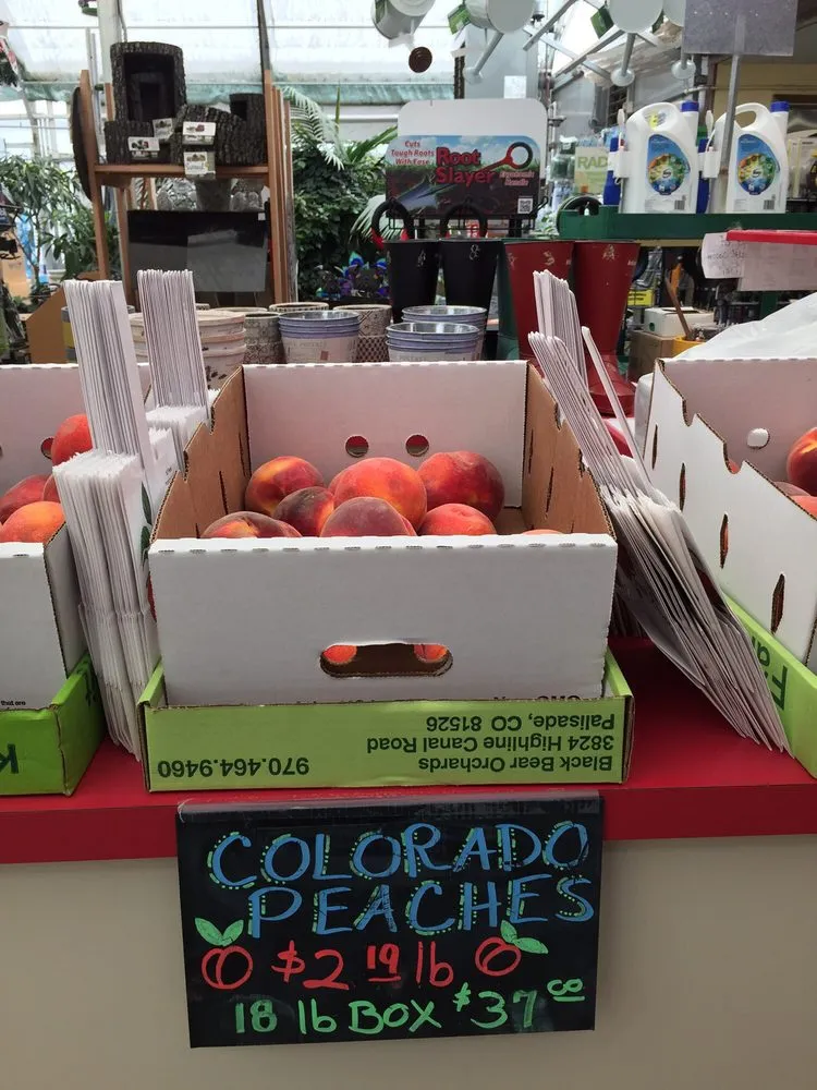 Local garden landscaping in Rapid City, SD - Jolly Lane Greenhouse