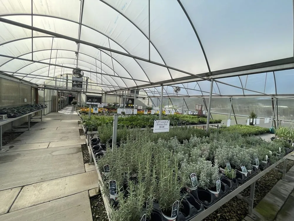 Professional lawn care service experts serving Rapid City, SD - Jolly Lane Greenhouse