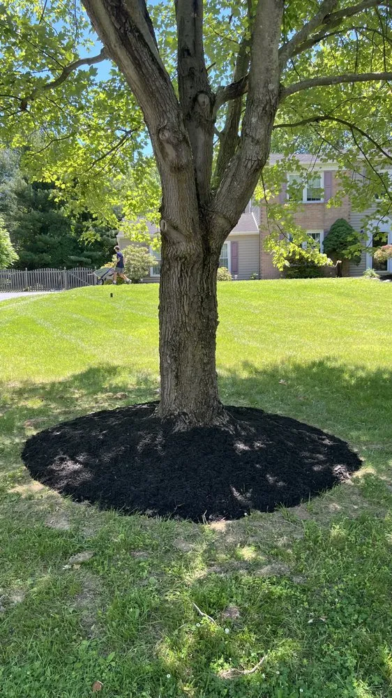 Local outdoor landscaping in Plymouth Meeting, PA - Jolly Lawn Care