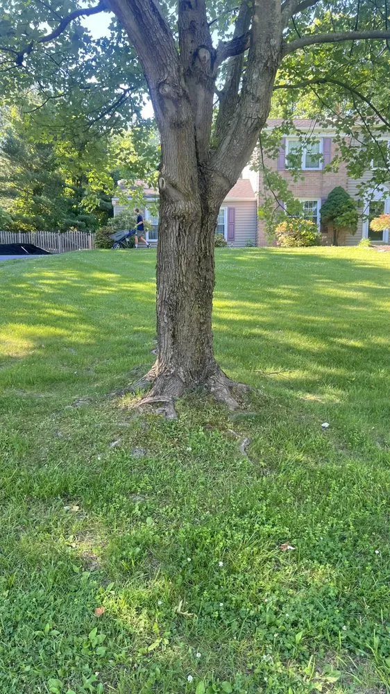 Trusted residential landscaping in Plymouth Meeting, PA - Jolly Lawn Care