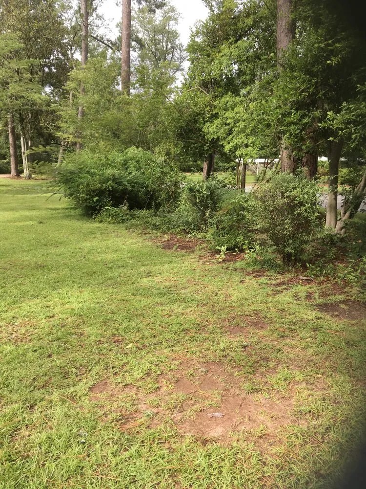 Custom landscape installation in Albany, GA by JoMows