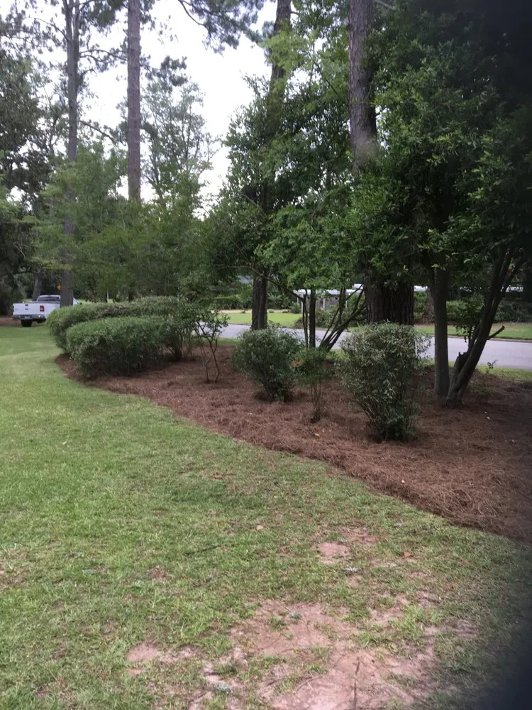 Trusted garden landscaping in Albany, GA - JoMows