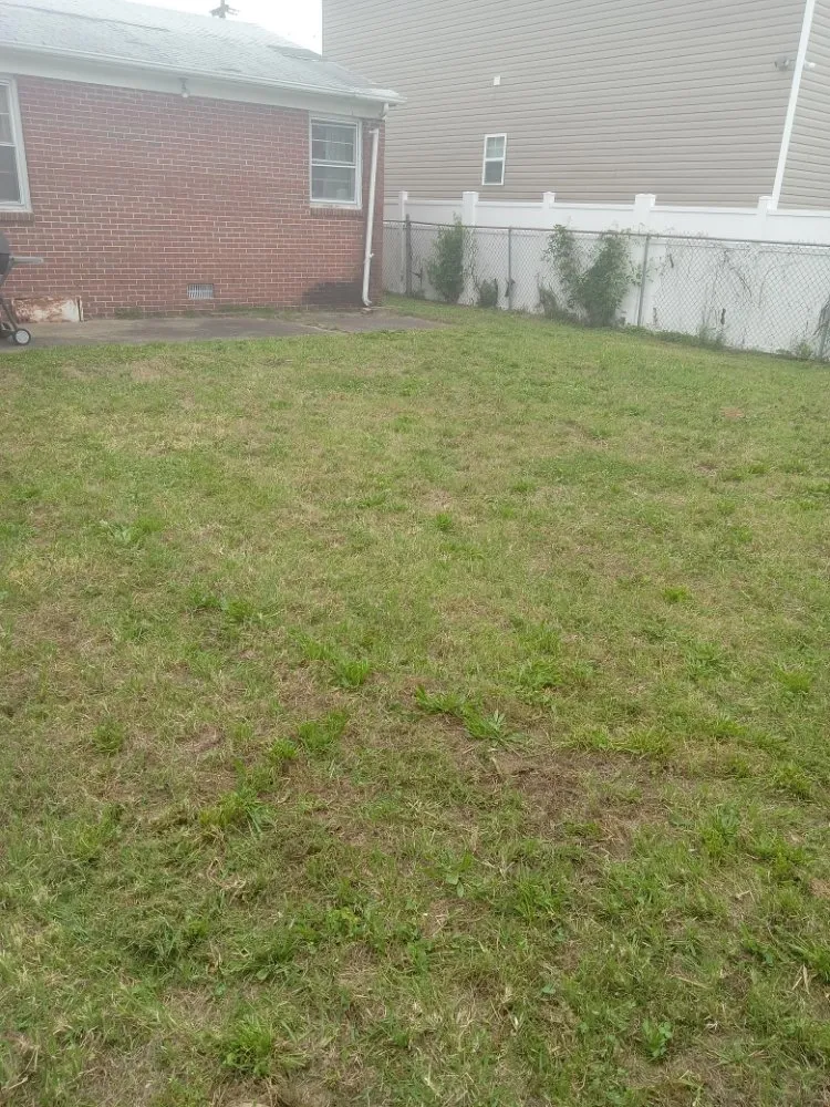 Local lawn mowing service experts serving Newport News, VA - Jon Jon Get It Done