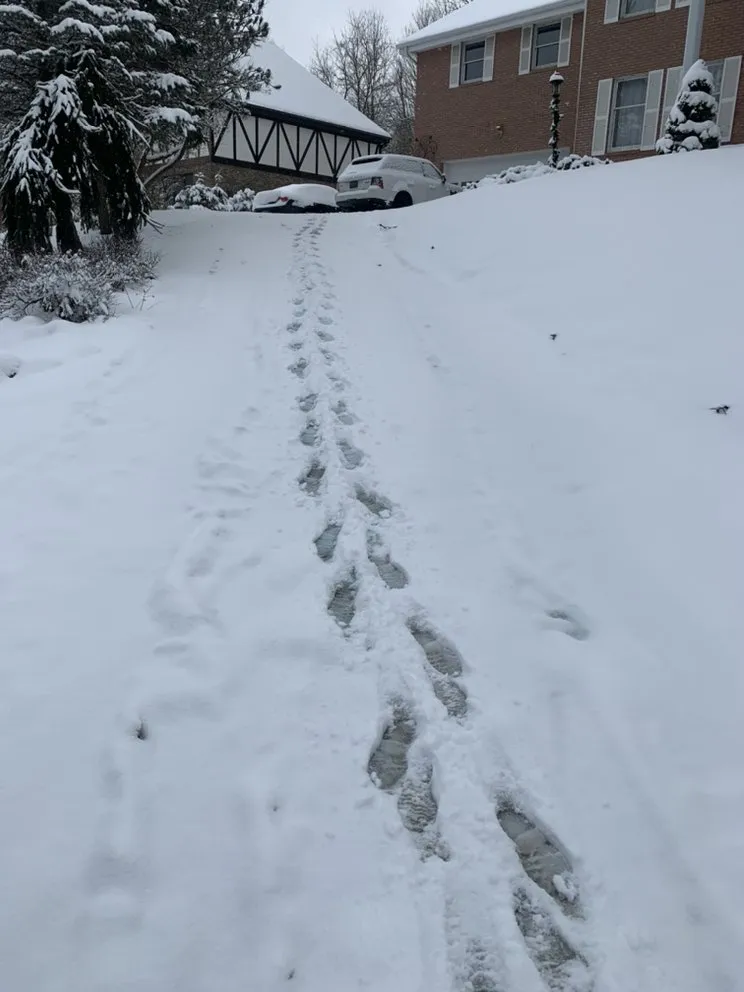 Trusted landscaping services for year-round maintenance across Sewickley, PA - Jon Michaels Landscaping and Snow Removal