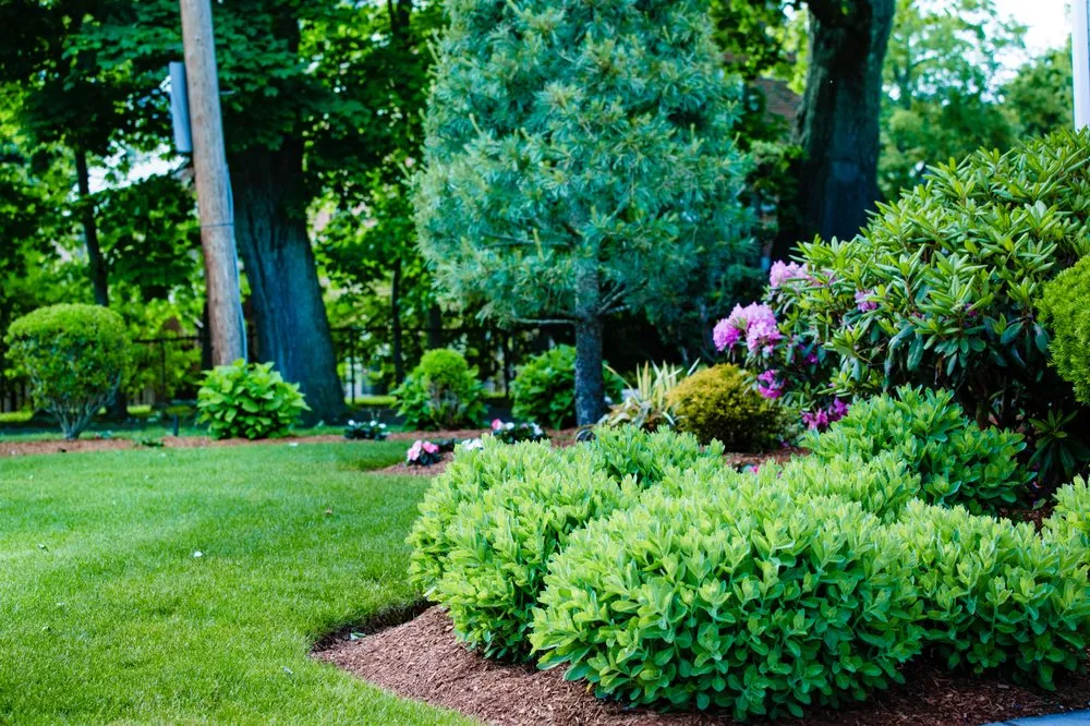 Local outdoor landscaping in Newton, MA - Jon Sneider Lawn Care & Tree Service