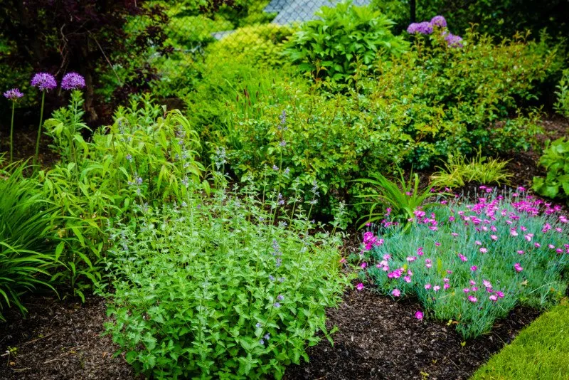 Expert landscaping services for beautiful yards across Newton, MA - Jon Sneider Lawn Care & Tree Service