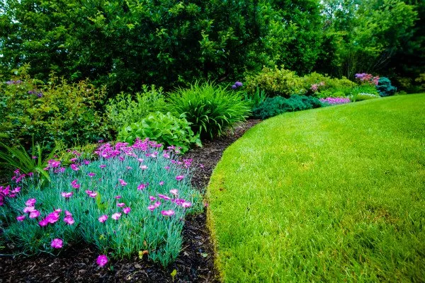 Affordable landscaping services in Newton, MA - Jon Sneider Lawn Care & Tree Service