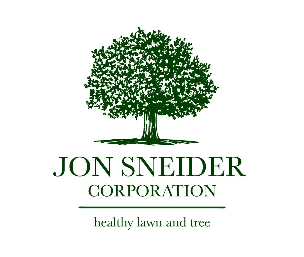 Professional landscape installation for homes across Newton, MA - Jon Sneider Lawn Care & Tree Service