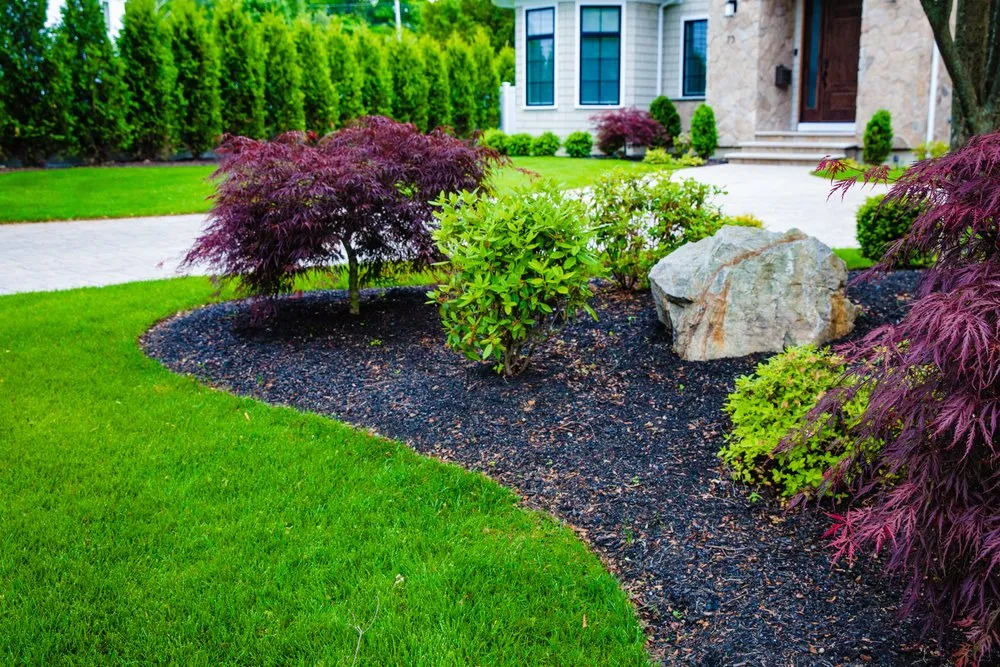 Local lawn care service in Newton, MA by Jon Sneider Lawn Care & Tree Service
