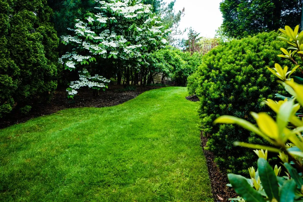 Custom landscape installation with custom design across Newton, MA - Jon Sneider Lawn Care & Tree Service