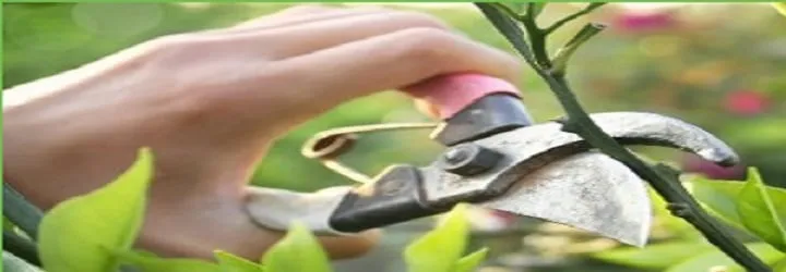 Professional landscape installation near you in East Longmeadow, MA by Jon Starr Landscaping & Design