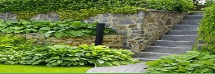 Custom outdoor landscaping for year-round maintenance in East Longmeadow, MA by Jon Starr Landscaping & Design