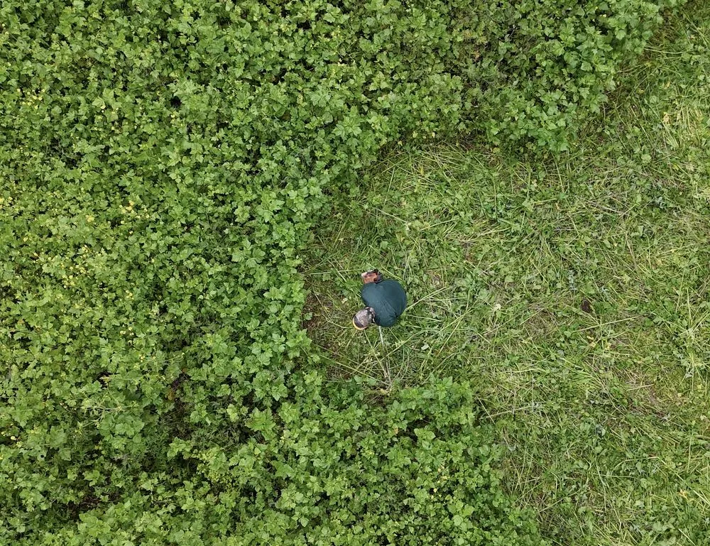 Reliable landscape installation in San Pedro, CA - Jonakee Landscaping