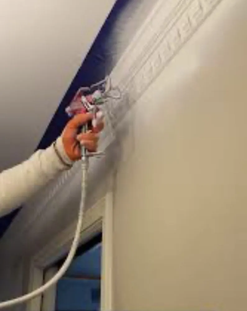 Affordable landscape installation with custom design across Kyle, TX - Jonas Jonathan Services