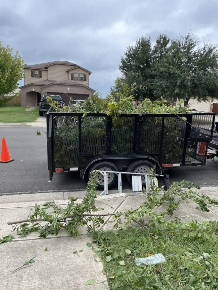 Affordable yard cleanup service experts serving Kyle, TX - Jonas Jonathan Services