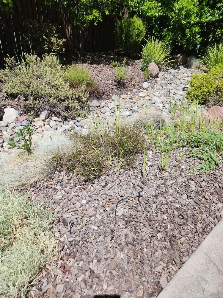 Affordable outdoor landscaping in Orangevale, CA - Jonas Landscaping & Maintenance