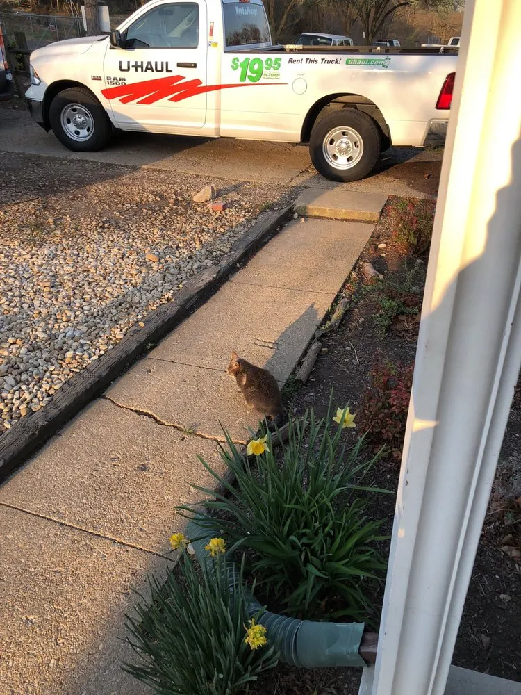 Professional lawn mowing service for beautiful yards across Alexandria, VA - Jonas Snow Removal and Landscaping