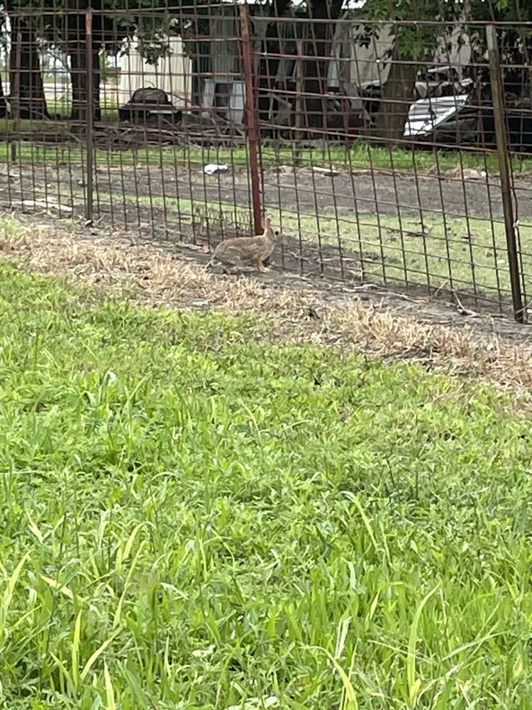 Trusted landscape design with custom design in Temple, TX by Jonathan Jose Landscaping Business