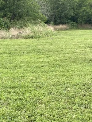 Jonathan Jose Landscaping Business Logo