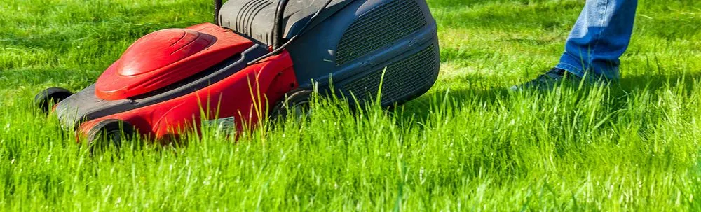 Top-rated yard cleanup service in Escondido, CA by Jonathan Landscaping