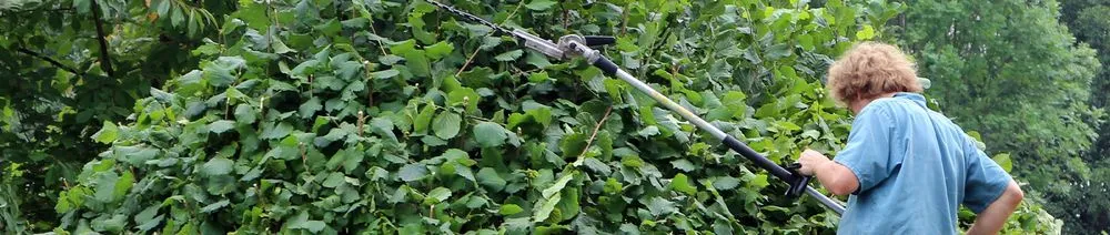 Local landscaping services near you across Escondido, CA - Jonathan Landscaping