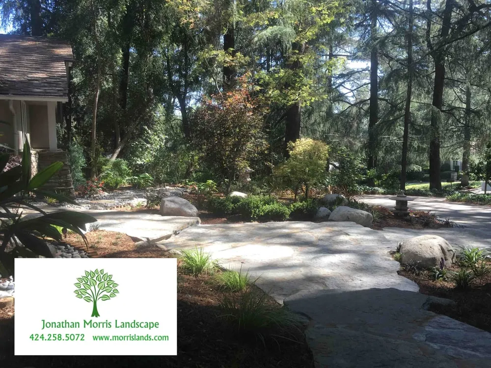 Expert landscape design in Culver City, CA - Jonathan Morris Landscapes