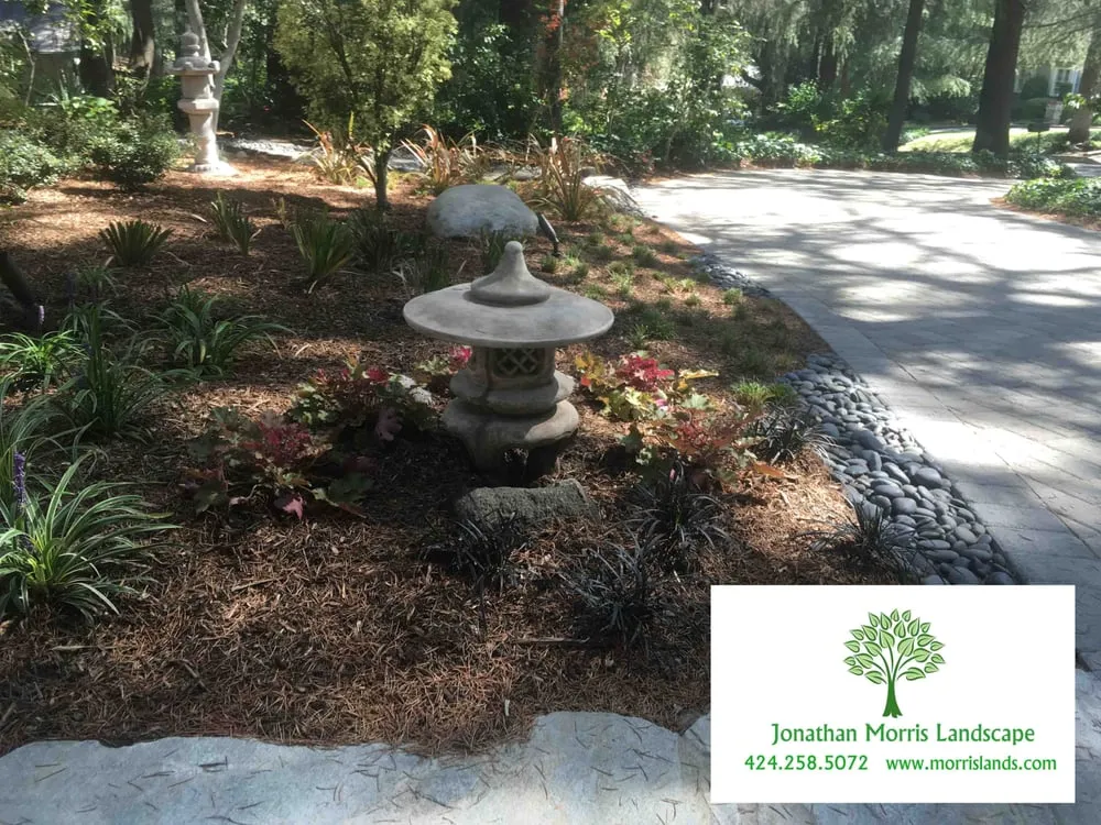 Expert yard cleanup service in Culver City, CA - Jonathan Morris Landscapes