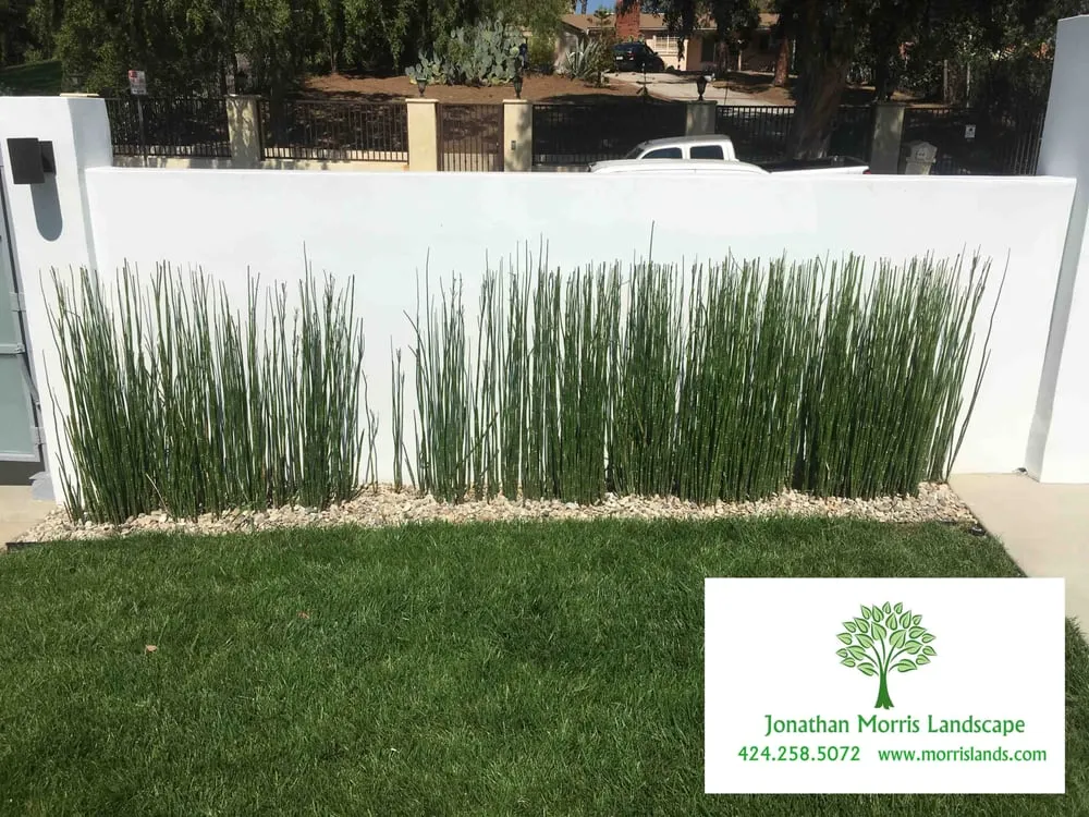 Trusted landscape design in Culver City, CA - Jonathan Morris Landscapes
