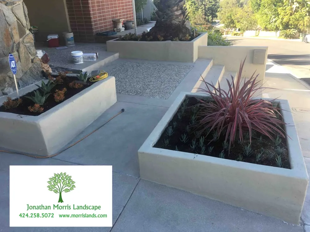 Affordable yard cleanup service in Culver City, CA by Jonathan Morris Landscapes