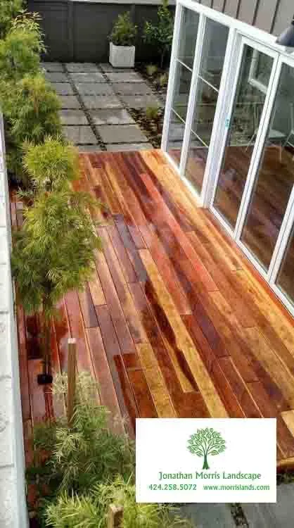 Local garden landscaping in Culver City, CA by Jonathan Morris Landscapes