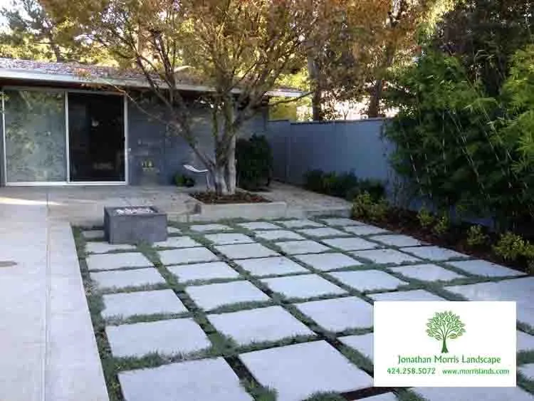 Top-rated yard cleanup service for year-round maintenance in Culver City, CA by Jonathan Morris Landscapes