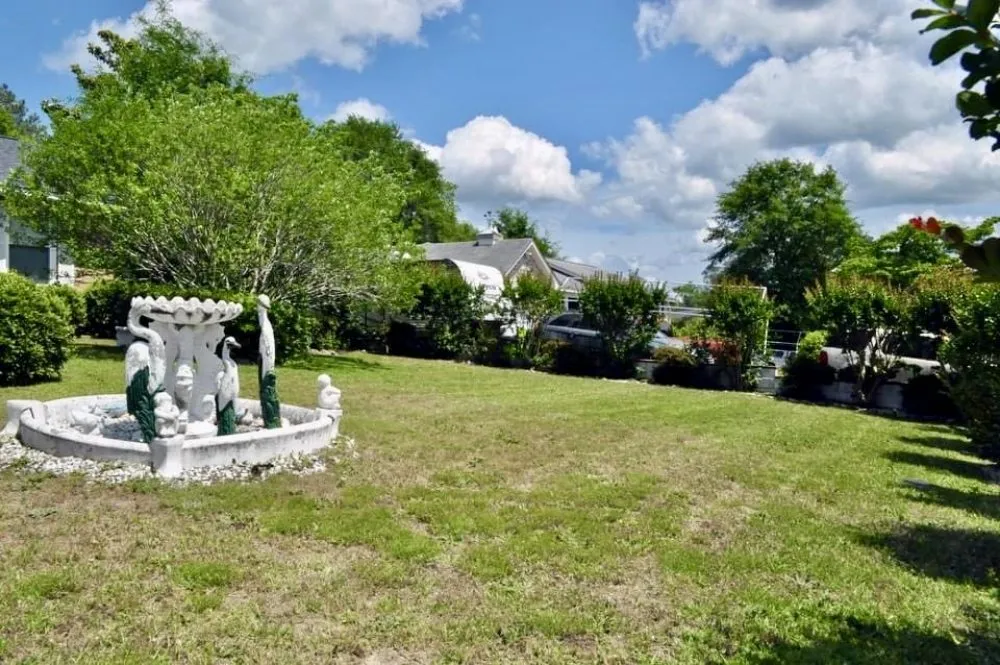 Local yard cleanup service near you in Columbia, SC by Jonathan Petray