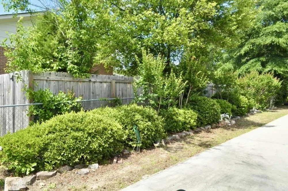 Professional residential landscaping experts serving Columbia, SC - Jonathan Petray