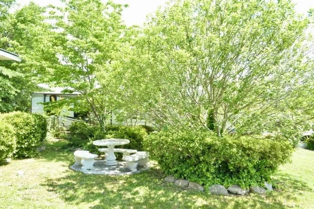 Custom yard maintenance in Columbia, SC by Jonathan Petray