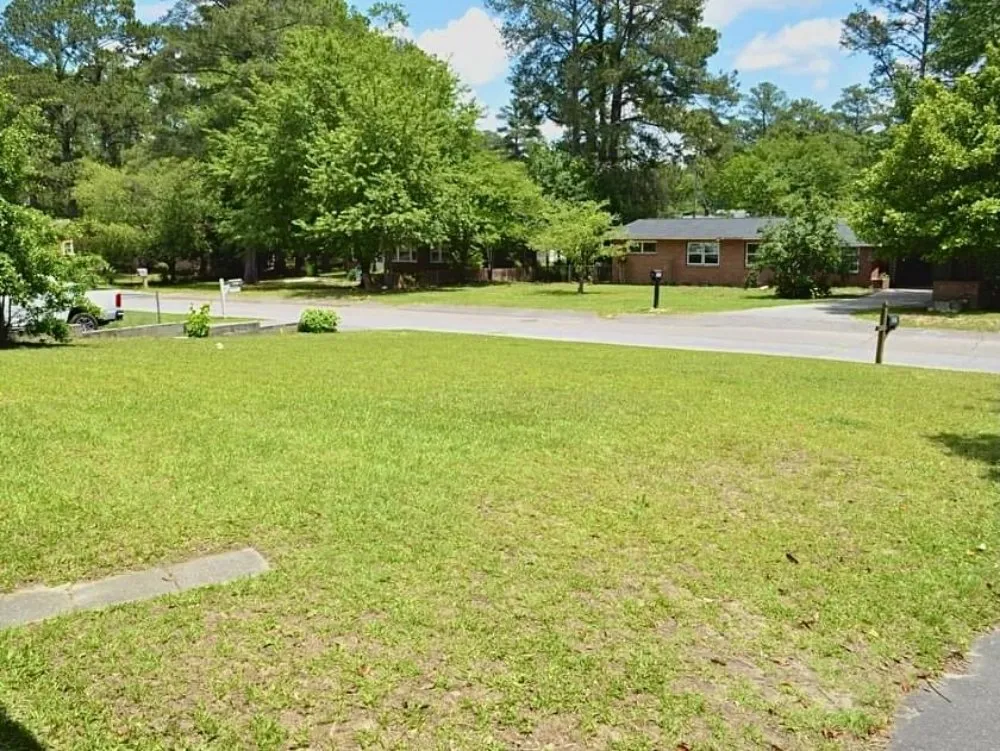 Expert yard cleanup service in Columbia, SC by Jonathan Petray