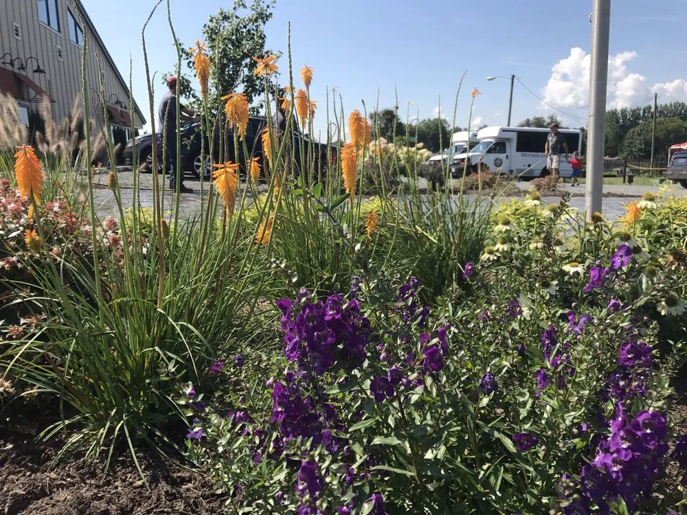 Expert yard maintenance in Leesburg, VA - Jonathan Zans