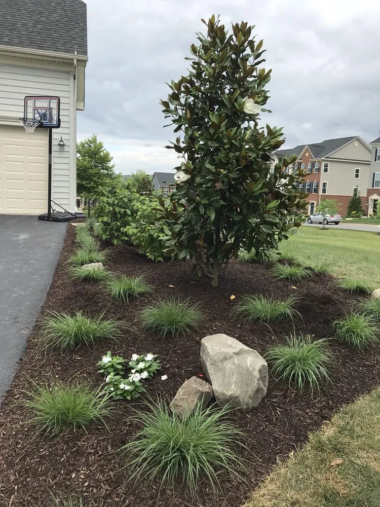 Local lawn care service experts serving Leesburg, VA - Jonathan Zans