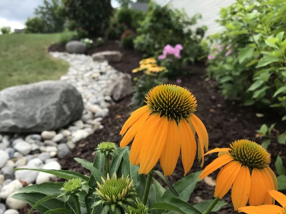 Expert yard cleanup service in Leesburg, VA by Jonathan Zans