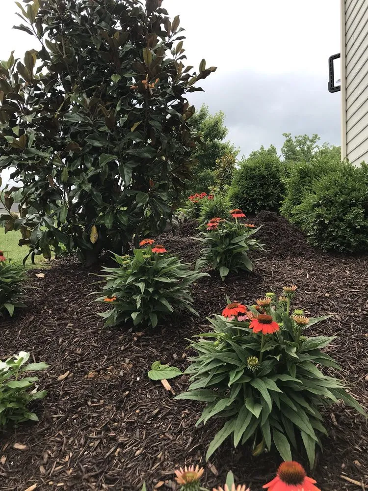 Custom yard cleanup service experts serving Leesburg, VA - Jonathan Zans