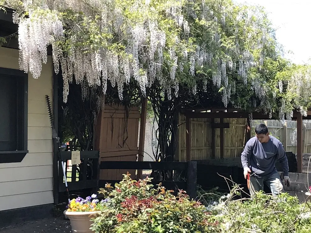 Local yard cleanup service for outdoor upgrades across Leesburg, VA - Jonathan Zans