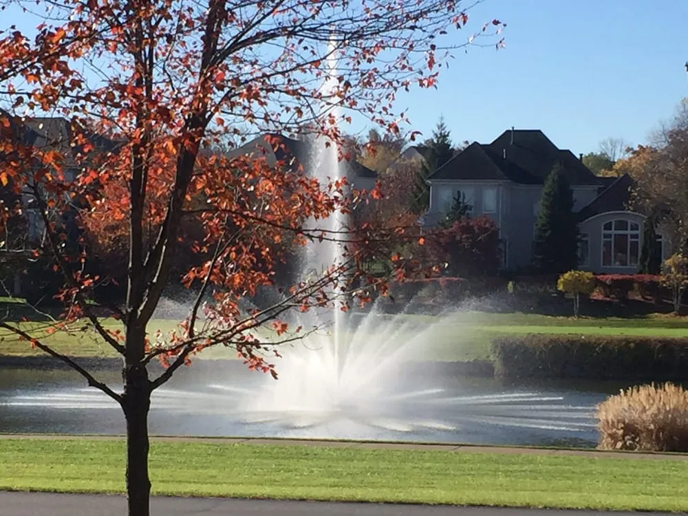 Trusted landscaping services experts serving Leesburg, VA - Jonathan Zans