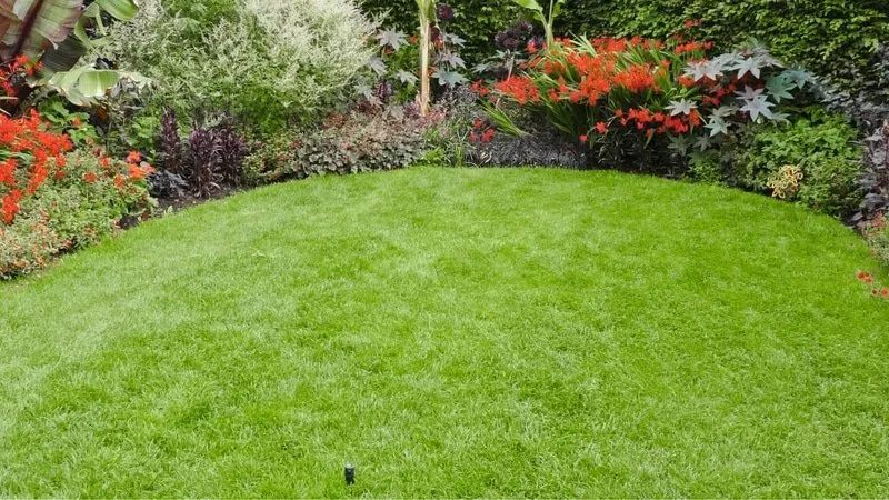 Custom lawn mowing service in Falls Church, VA - Jonathan's Landscaping