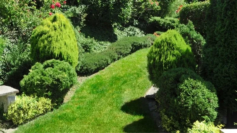 Custom outdoor landscaping experts serving Falls Church, VA - Jonathan's Landscaping