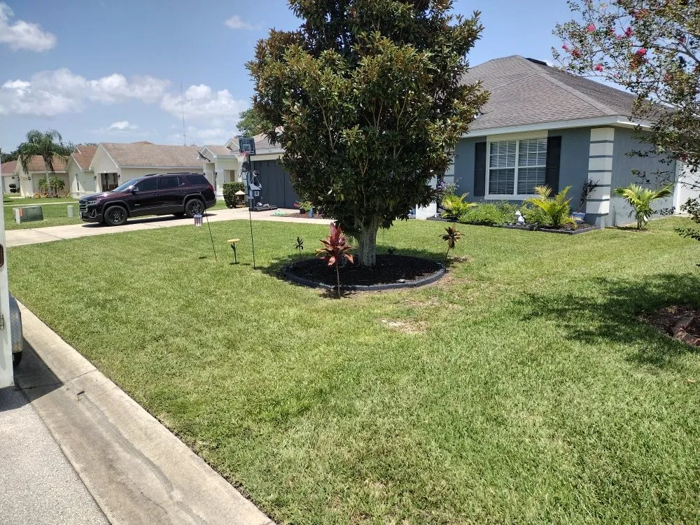Professional yard cleanup service experts serving Auburndale, FL - Jonathan's Lawn Care and Pressure Washing