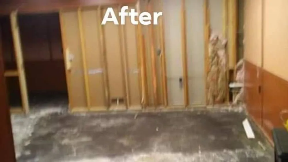 Professional garden landscaping in Buffalo, NY - Jonathan's Moving And Maintenance